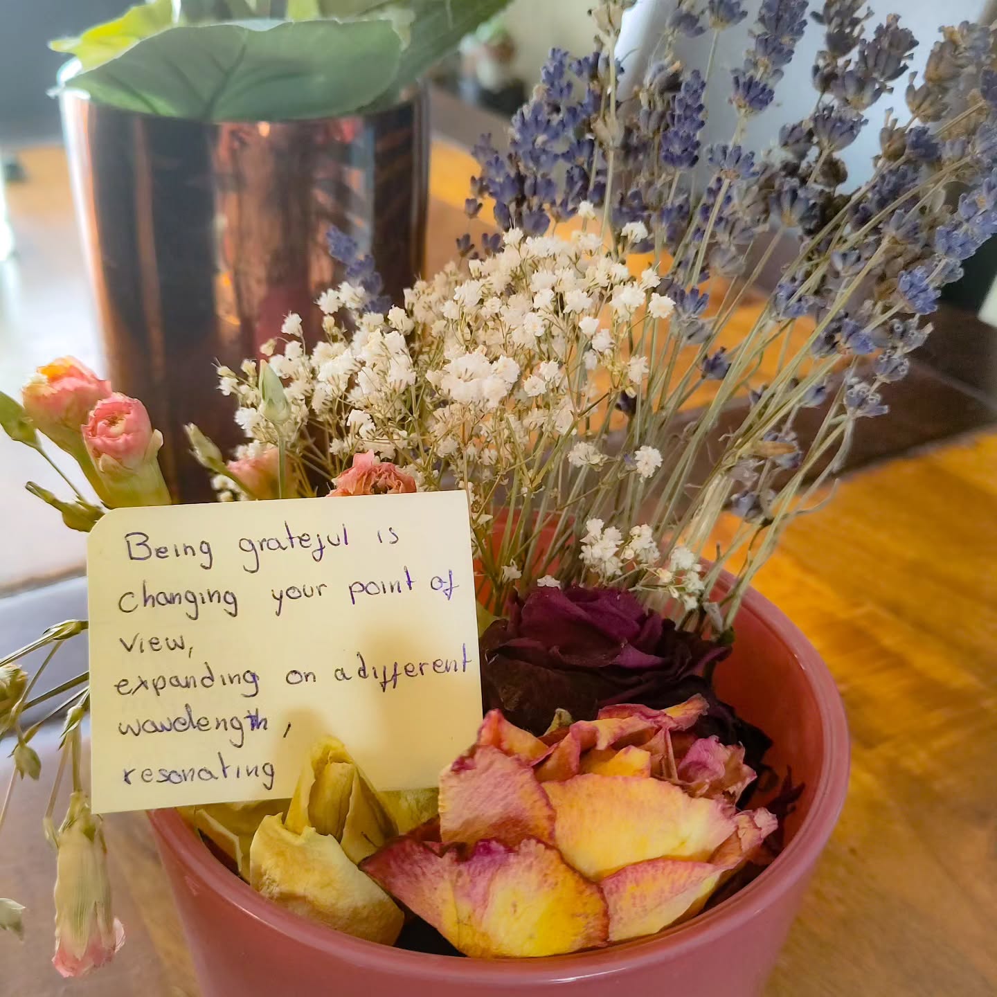 345999920 1293286271284092 4149610599044067359 n 18034504159485754